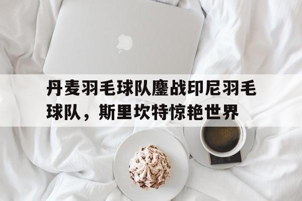 丹麦羽毛球队鏖战印尼羽毛球队，斯里坎特惊艳世界的简单介绍