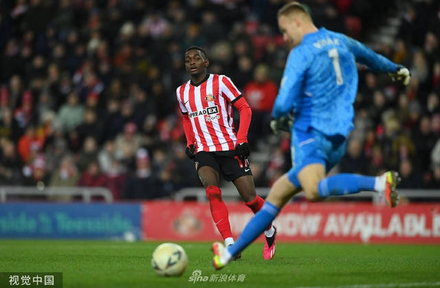 桑德兰主场惨遭失利，降级风险增大的简单介绍