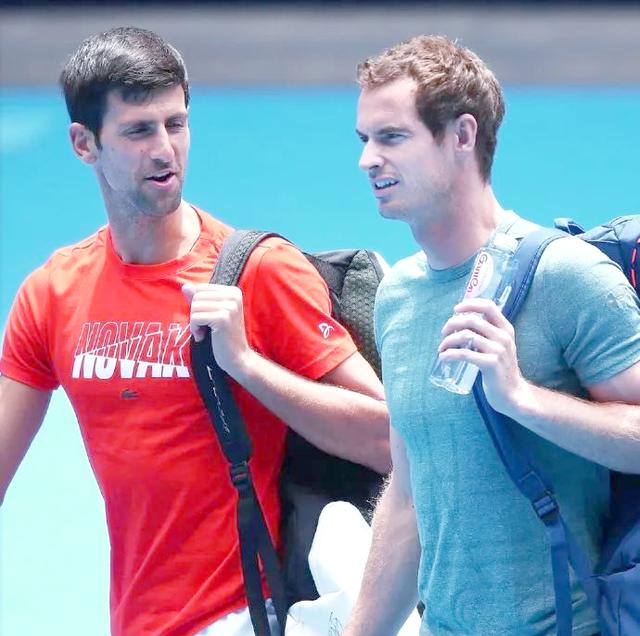 关于戴维斯杯绝杀温网，德约科维奇带队取胜的信息