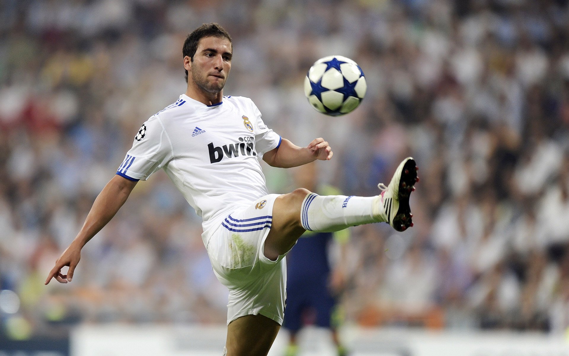 南十字星下的东瀛利刃，三笘薰破开金字塔防线，新西兰一球制胜埃及